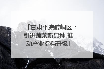 甘肃平凉崆峒区：引进蔬菜新品种 推动产业提档升级